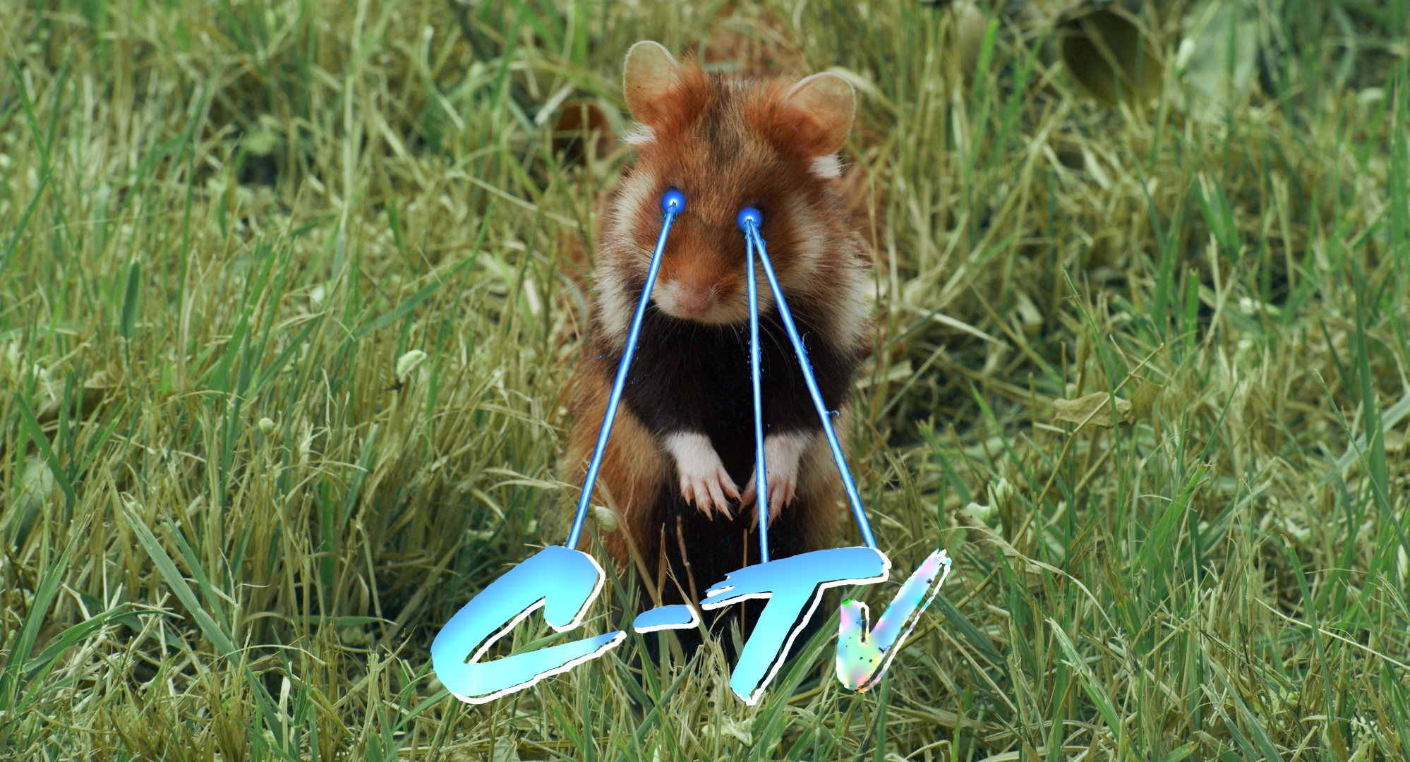 C-TV und Crip Magazin